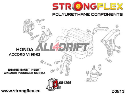081295B: Insertos del Soporte Delantero del Motor - Honda Accord VI (98-02)