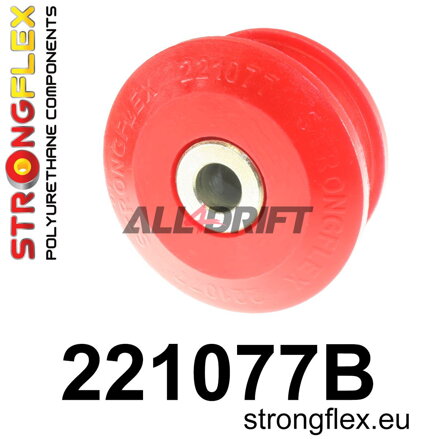 221077B Casquillo trasero del brazo de suspensión Audi / VW / Škoda